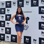 Backing Curvo Publicitario